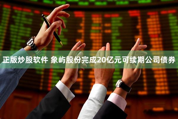 正版炒股软件 象屿股份完成20亿元可续期公司债券