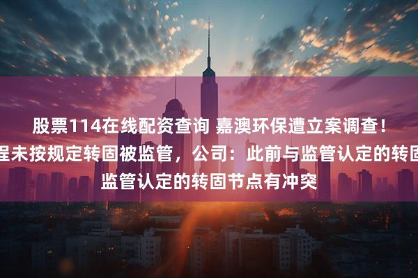 股票114在线配资查询 嘉澳环保遭立案调查！曾因在建工程未按规定转固被监管，公司：此前与监管认定的转固节点有冲突