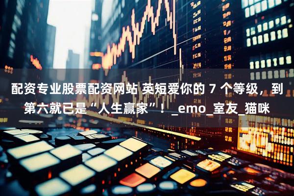 配资专业股票配资网站 英短爱你的 7 个等级,到第六就已是“人生赢家”!_emo_室友_猫咪